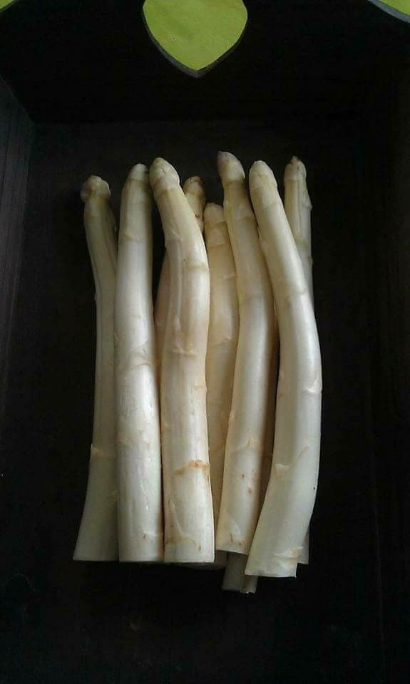 Verse Limburgse asperges, dagvers gestoken